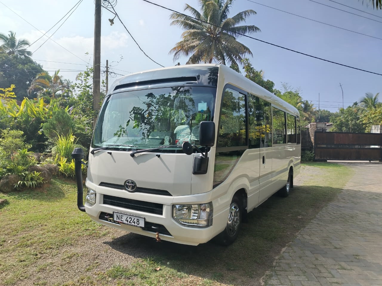 Rosa Bus