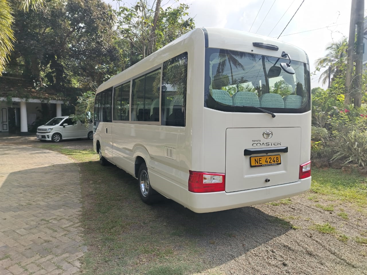 Rosa Bus